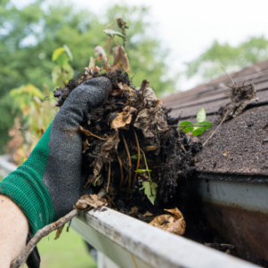 gutter cleaning