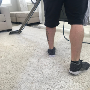 carpet cleaning